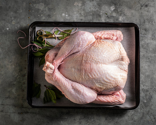 Fresh whole turkey